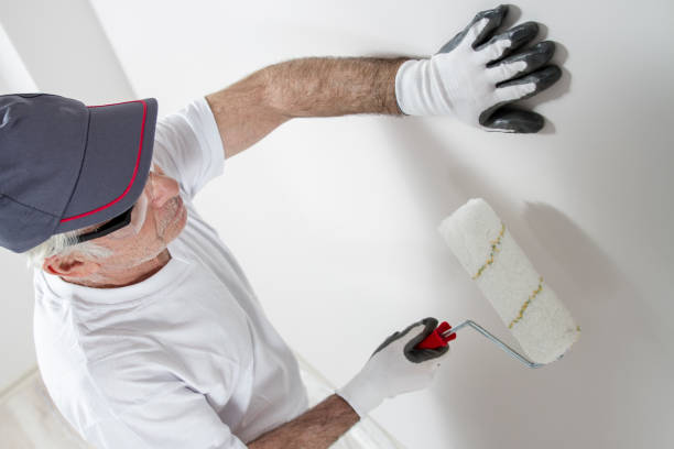  Wtmore Village, HI Drywall & Painting Services Pros